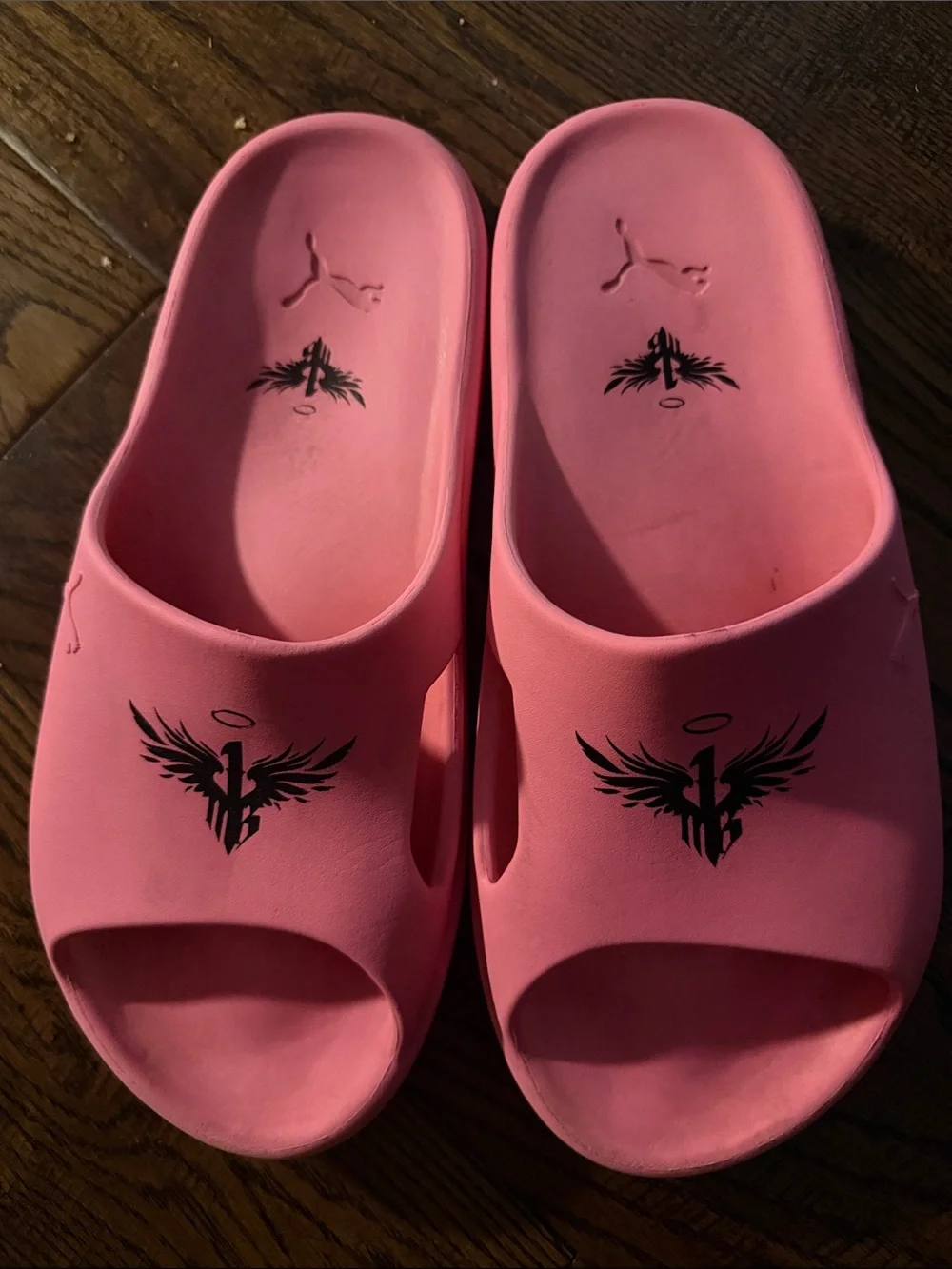 Puma Lamelo Ball x Shibui Cat Slides
